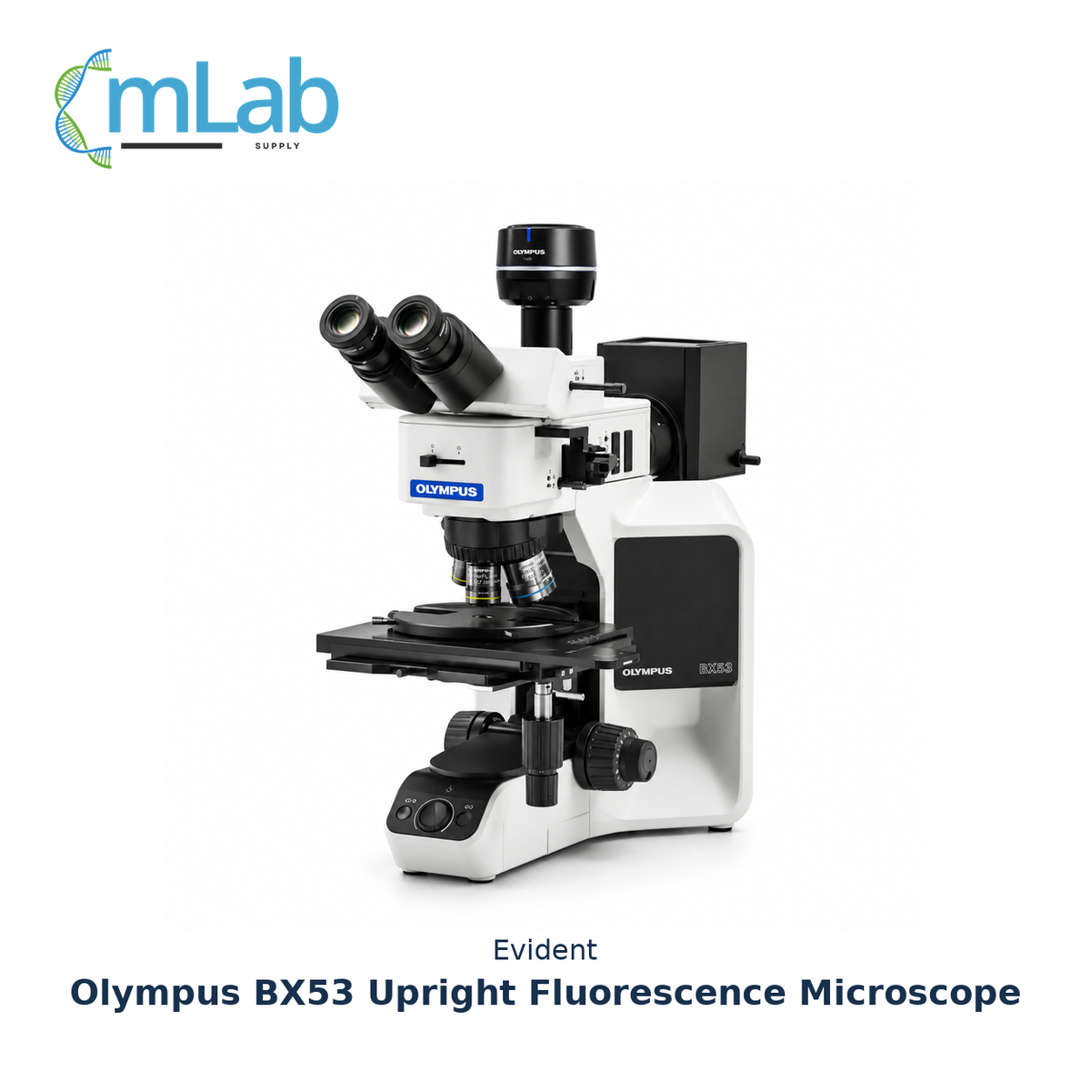 Evident Olympus BX53 Upright Fluorescence Microscope