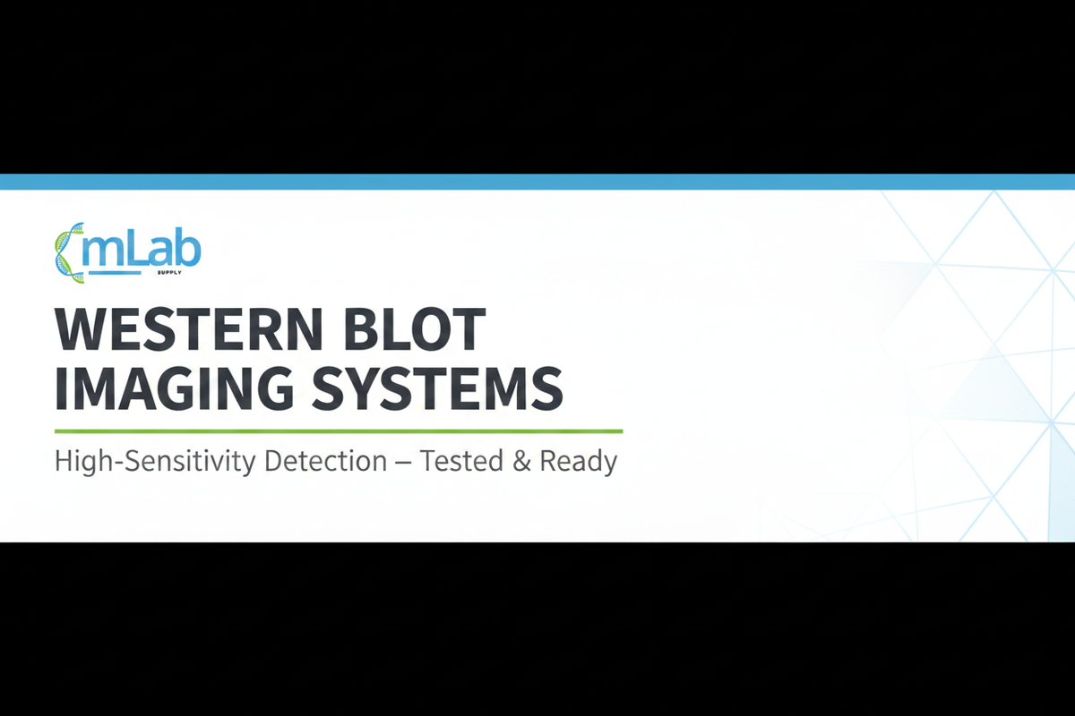 Western Blot Imaging Systems