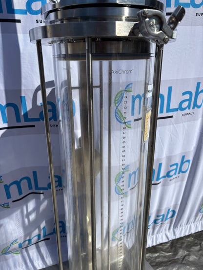 Columna de cromatografía AxiChrom BPG 200/500 de Cytiva (GE Healthcare) – Bioprocesos / Purificación de proteínas