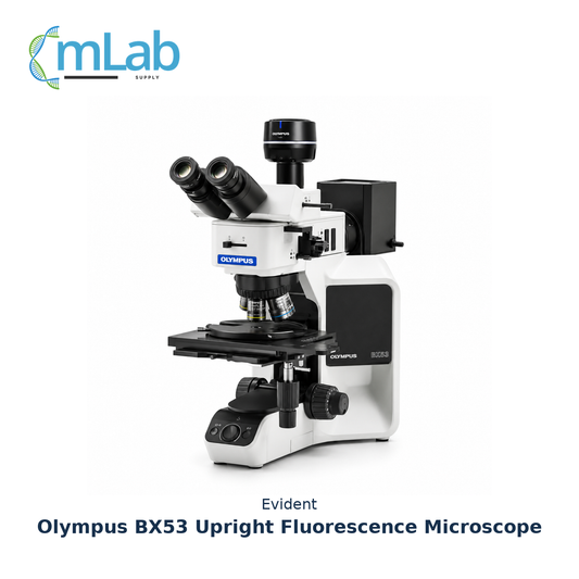 Evident Olympus BX53 Upright Fluorescence Microscope