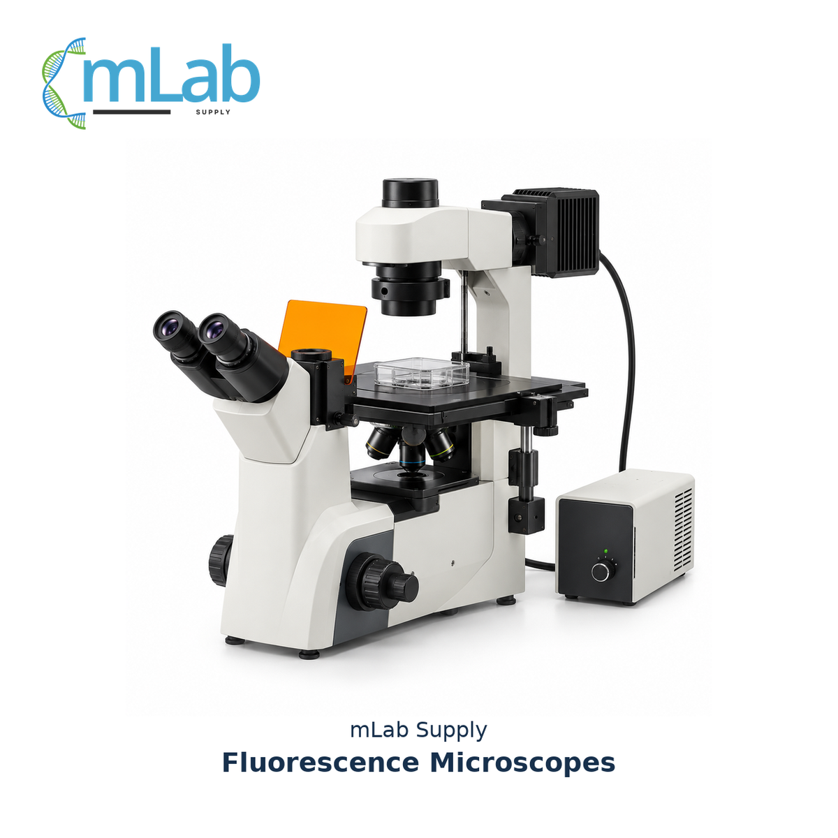 Fluorescence Microscopes