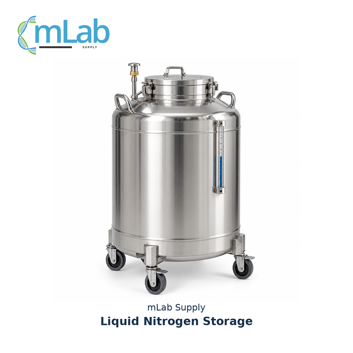 Liquid Nitrogen Storage