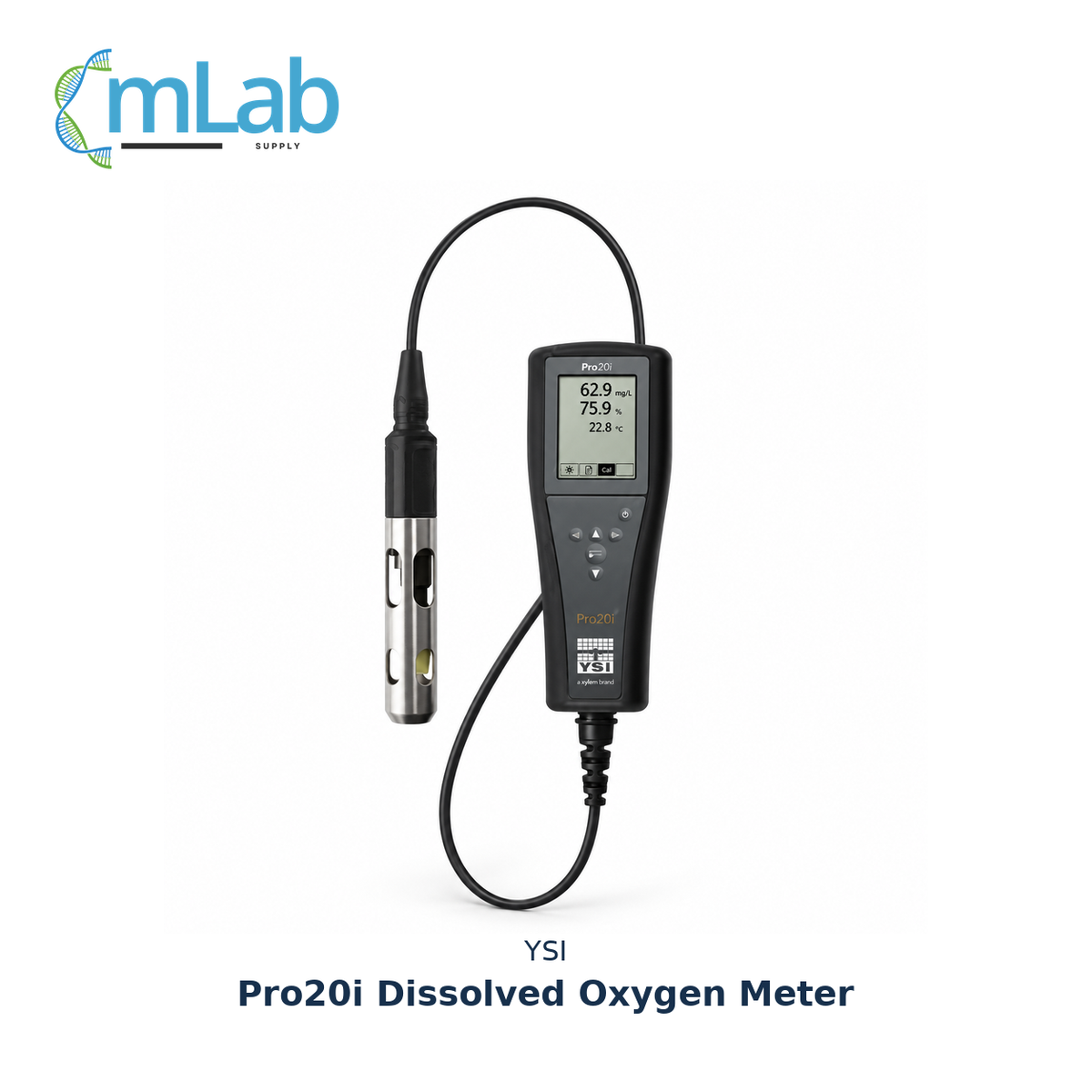 YSI Pro20i Dissolved Oxygen Meter